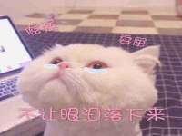 南京润强食品有限责任公司