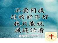南京润强食品有限责任公司