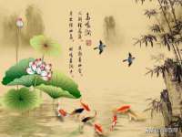南京润强食品有限责任公司