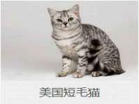 南京润强食品有限责任公司