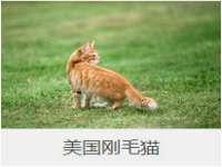 南京润强食品有限责任公司