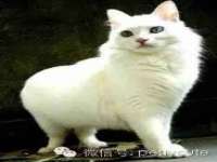 南京润强食品有限责任公司