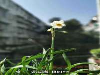 南京润强食品有限责任公司