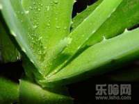南京润强食品有限责任公司