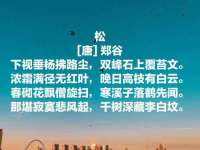 南京润强食品有限责任公司