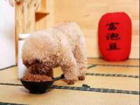 南京润强食品有限责任公司