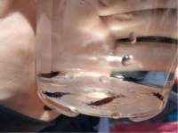 南京润强食品有限责任公司