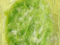 南京润强食品有限责任公司