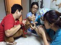 南京润强食品有限责任公司