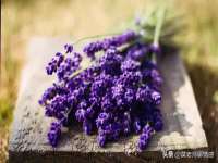 南京润强食品有限责任公司