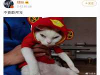 南京润强食品有限责任公司