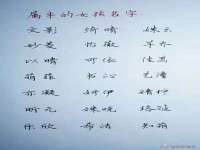 南京润强食品有限责任公司