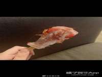 南京润强食品有限责任公司